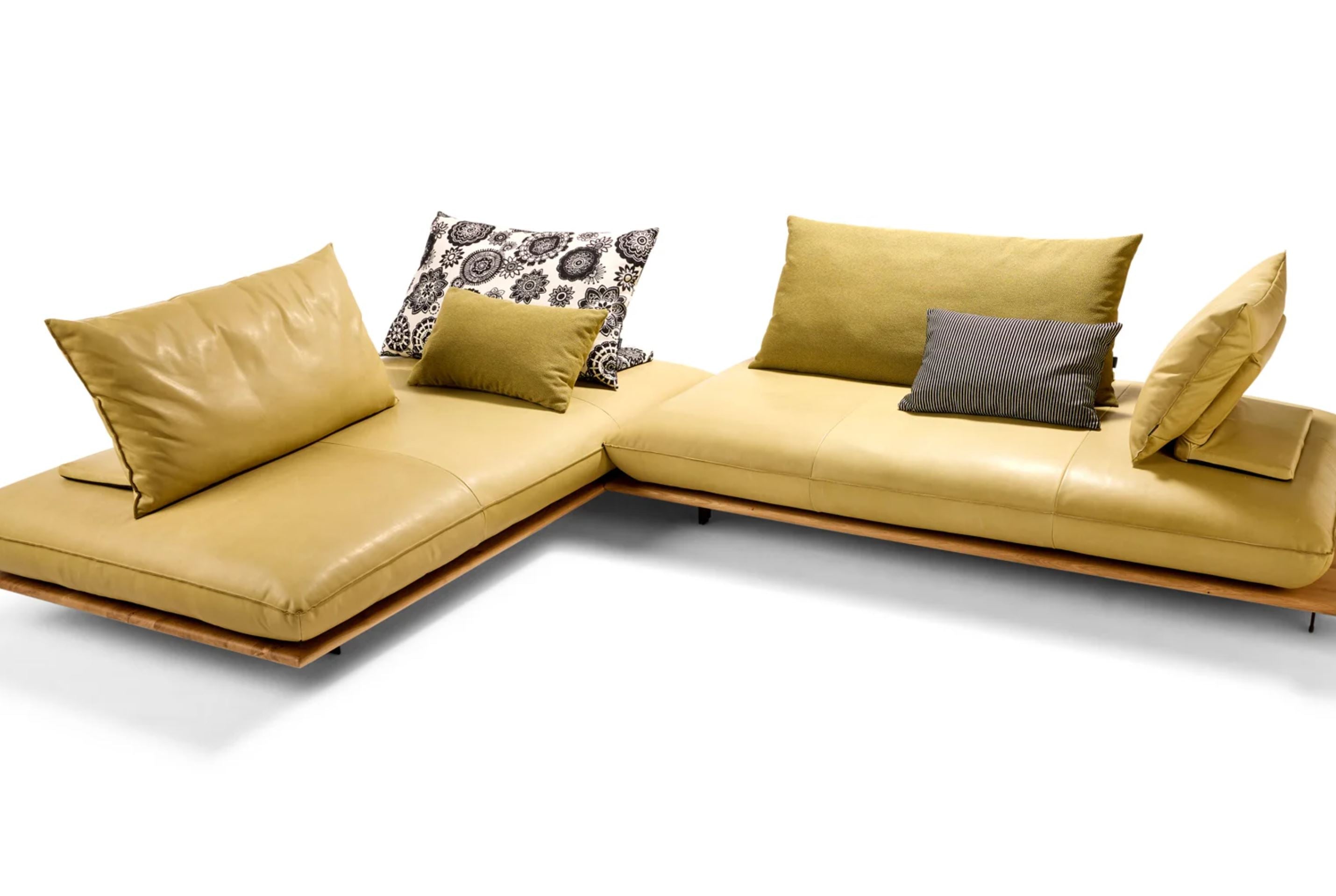 Bullfrog Moba Rücken Funktionskissen