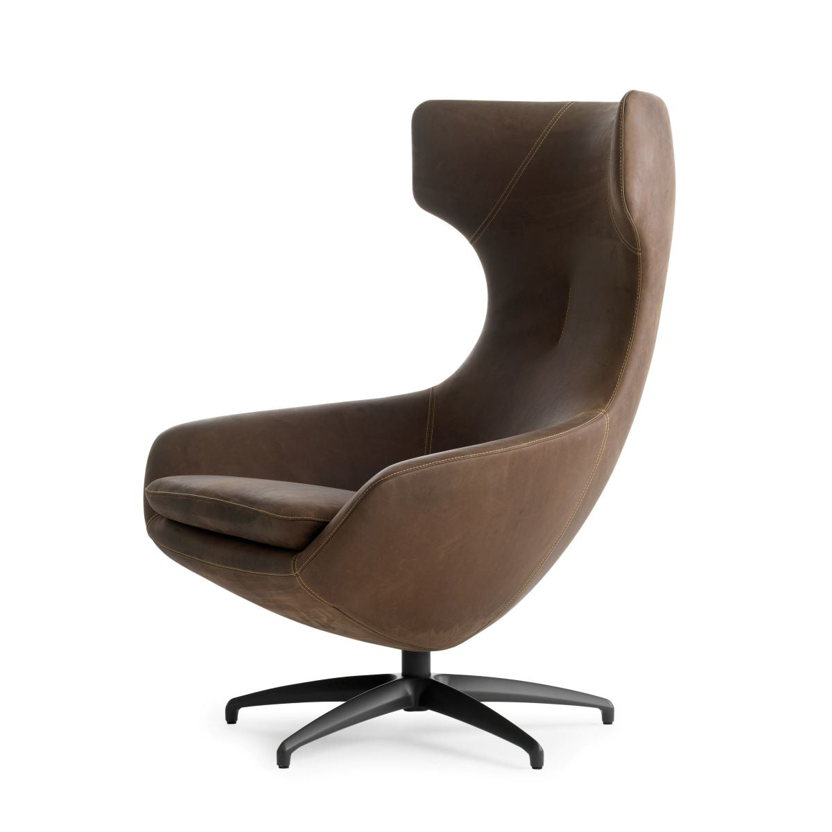 Leolux Caruzzo Sessel