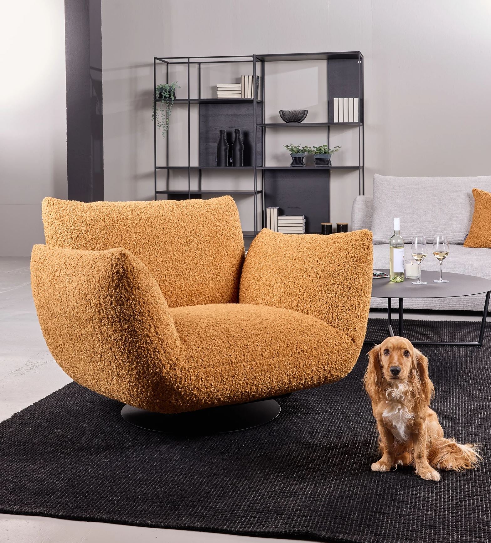 Bullfrog Boogie 0618 Sessel