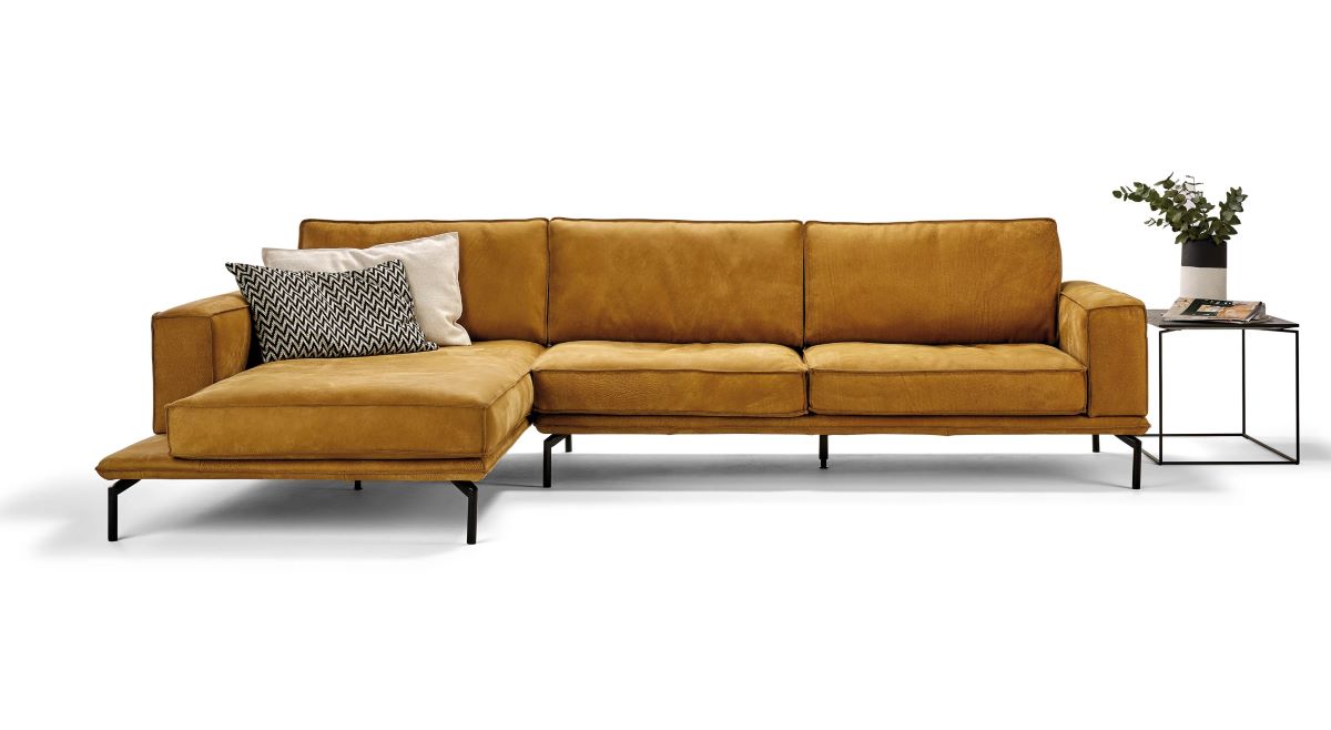 Bullfrog Caballero 1041