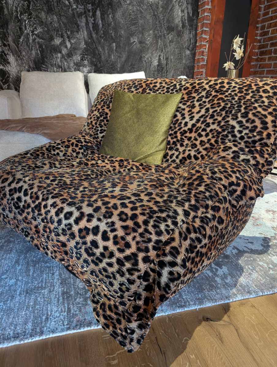 Bullfrog Tatami Showroom Ausstellungsstück – Ansicht 2